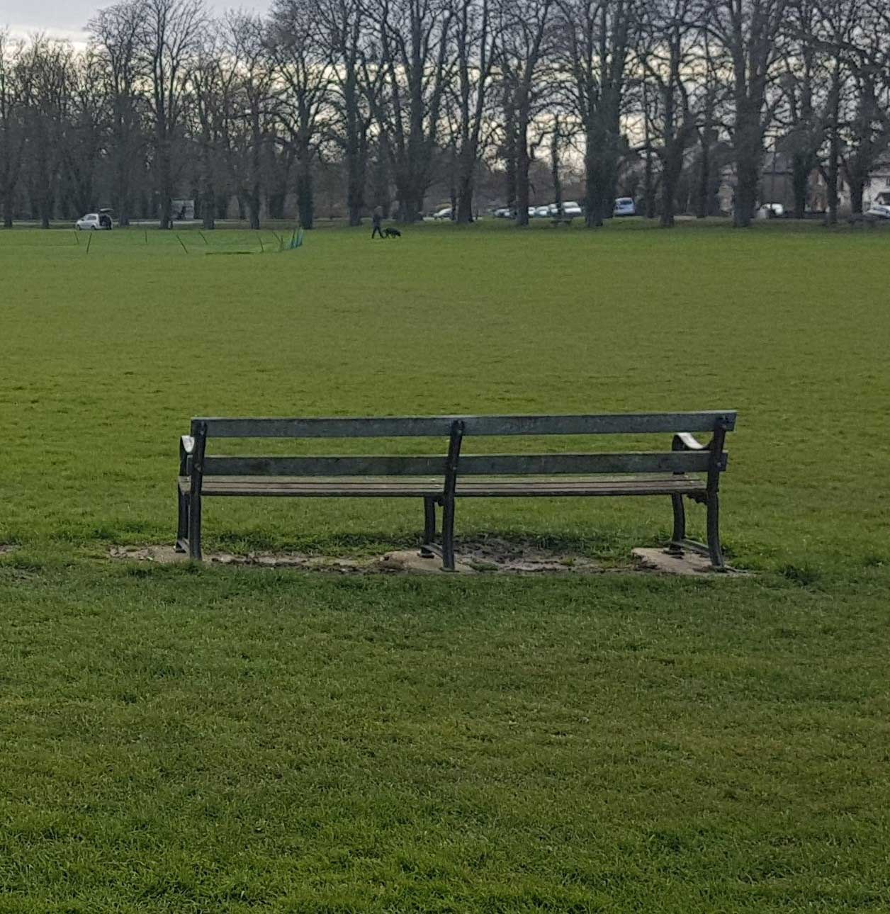 bench